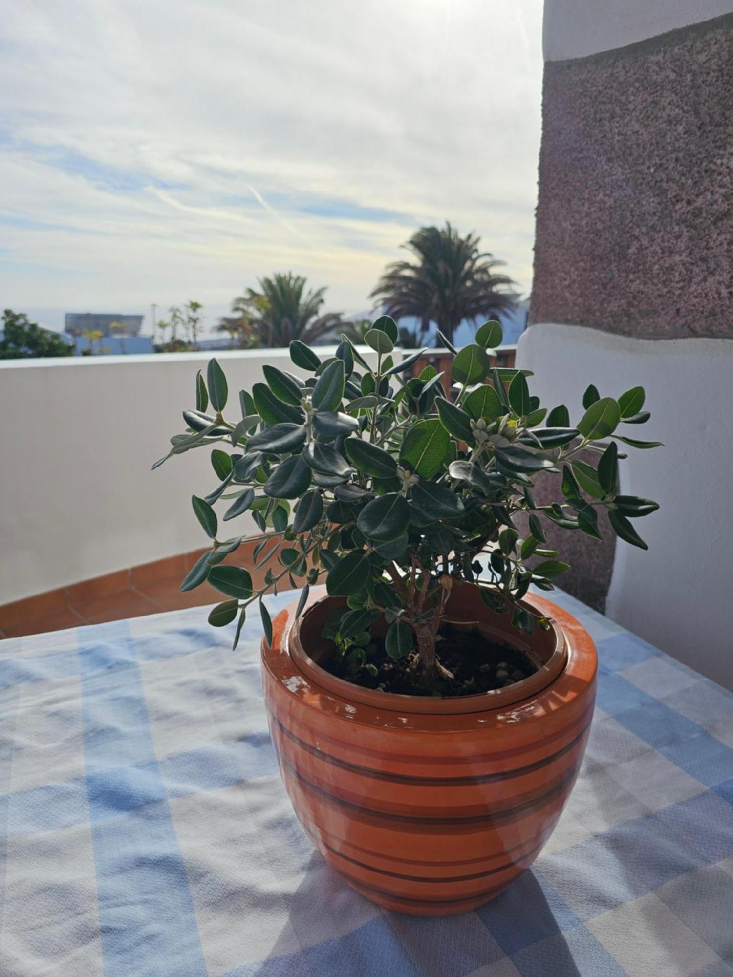 Casa Layka, Con Maravillosas Vistas Al Mar La Asomada  Buitenkant foto
